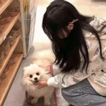 第五邻居游戏下载